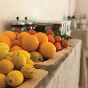Herbal Schools 31 Įvairūs vaisiai, išdėstyti kartu, pasižymintys skirtingomis spalvomis, formomis ir rūšimis.