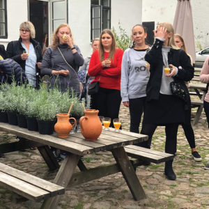 Herbal Schools 32 Žmonės, dalyvaujantys vaistažolių mokyklos renginyje, susipažįstantys su augalais ir su jais dirbantys.