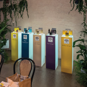 Herbal Schools 8 Žolelių mokyklos renginyje pristatyti nauji „Nordic“ produktai.
