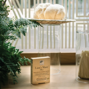 Herbal Schools 14 Žolelių mokyklos renginyje buvo pristatytas naujas „Nordic Lion’s Mane Plus™“ produktas.