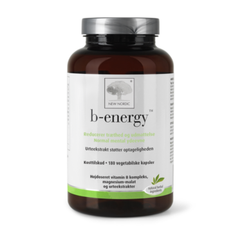 Naujas maisto papildas „Nordic b-energy™“ su B grupės vitaminais ir magniu padeda išlaikyti kasdienį energijos lygį.